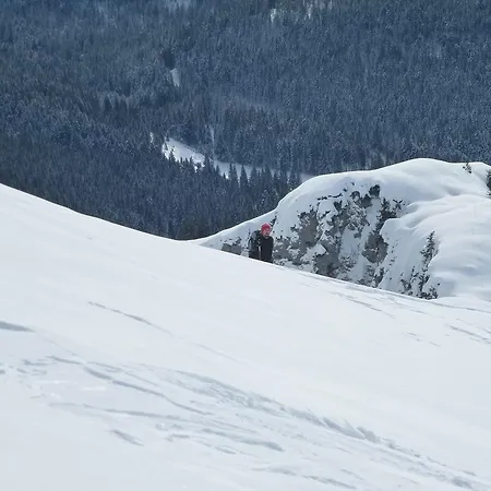 Riedling Apartment Going am Wilden Kaiser