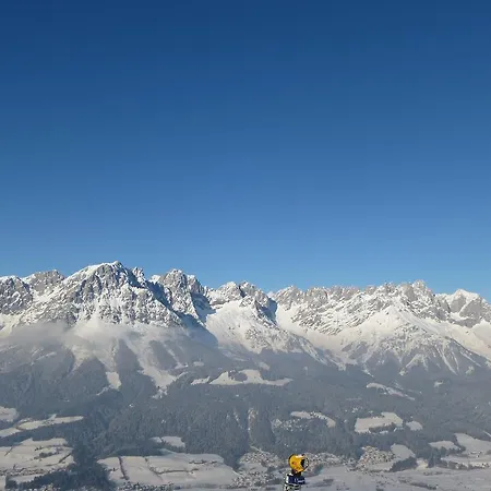 Riedling Apartment Going am Wilden Kaiser